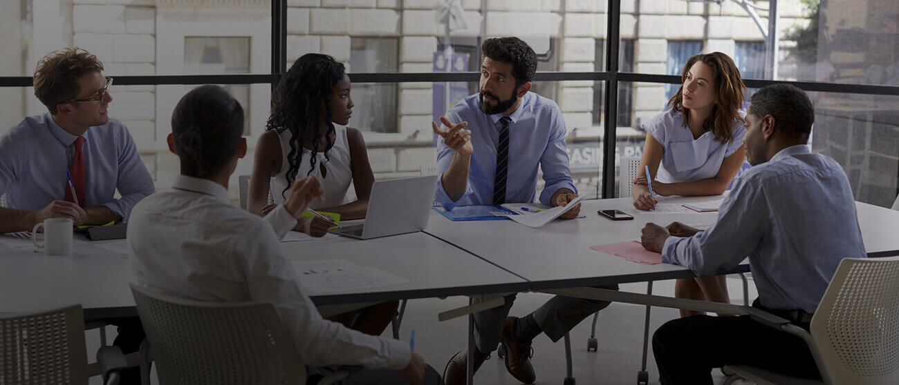 Business & Professional banner